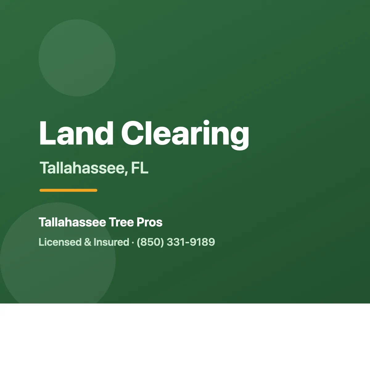 Land clearing equipment clearing a wooded lot in Tallahassee FL