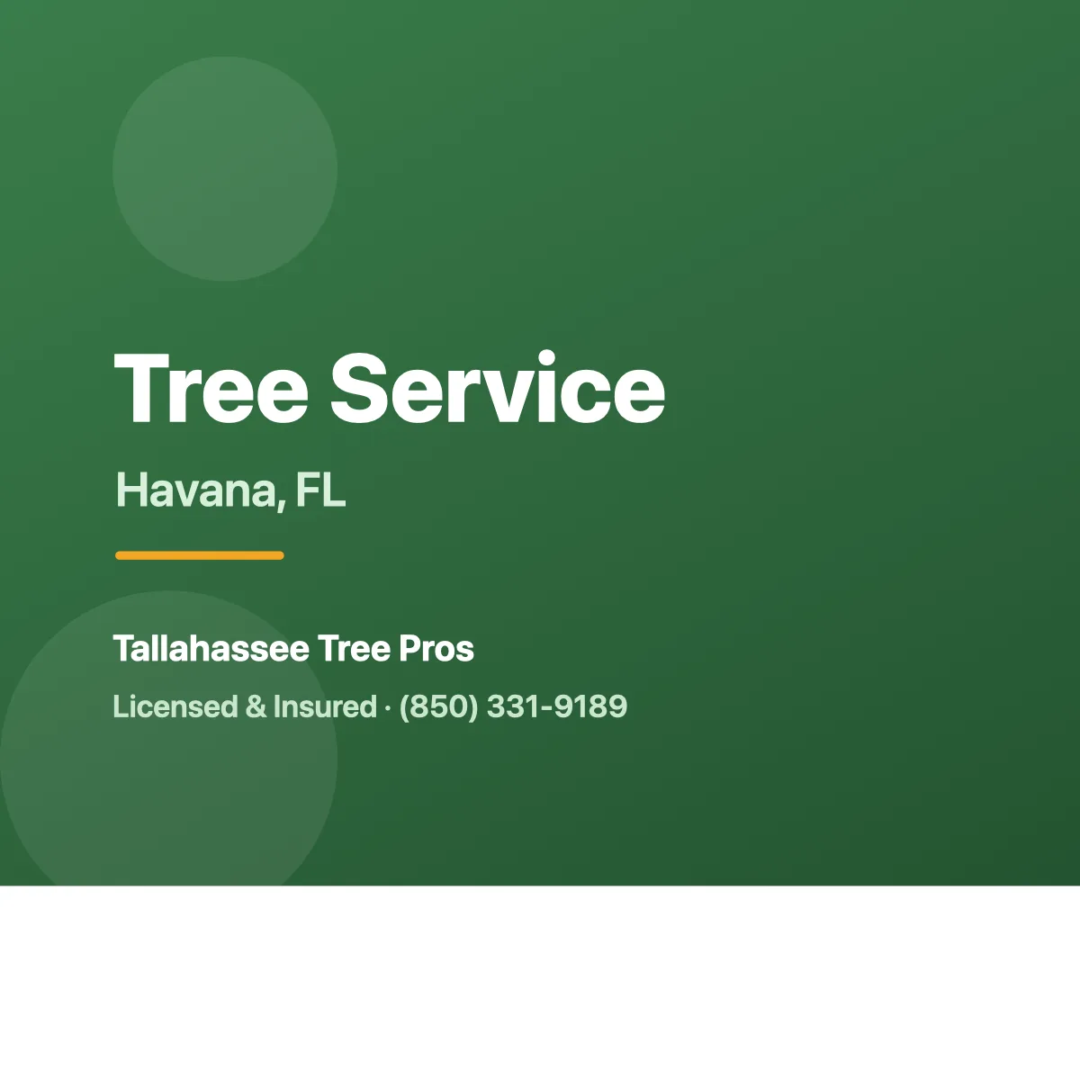Tree service crew working in Havana FL
